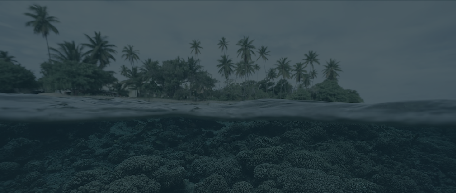 MICRONESIA-1 MICRONESIA-1